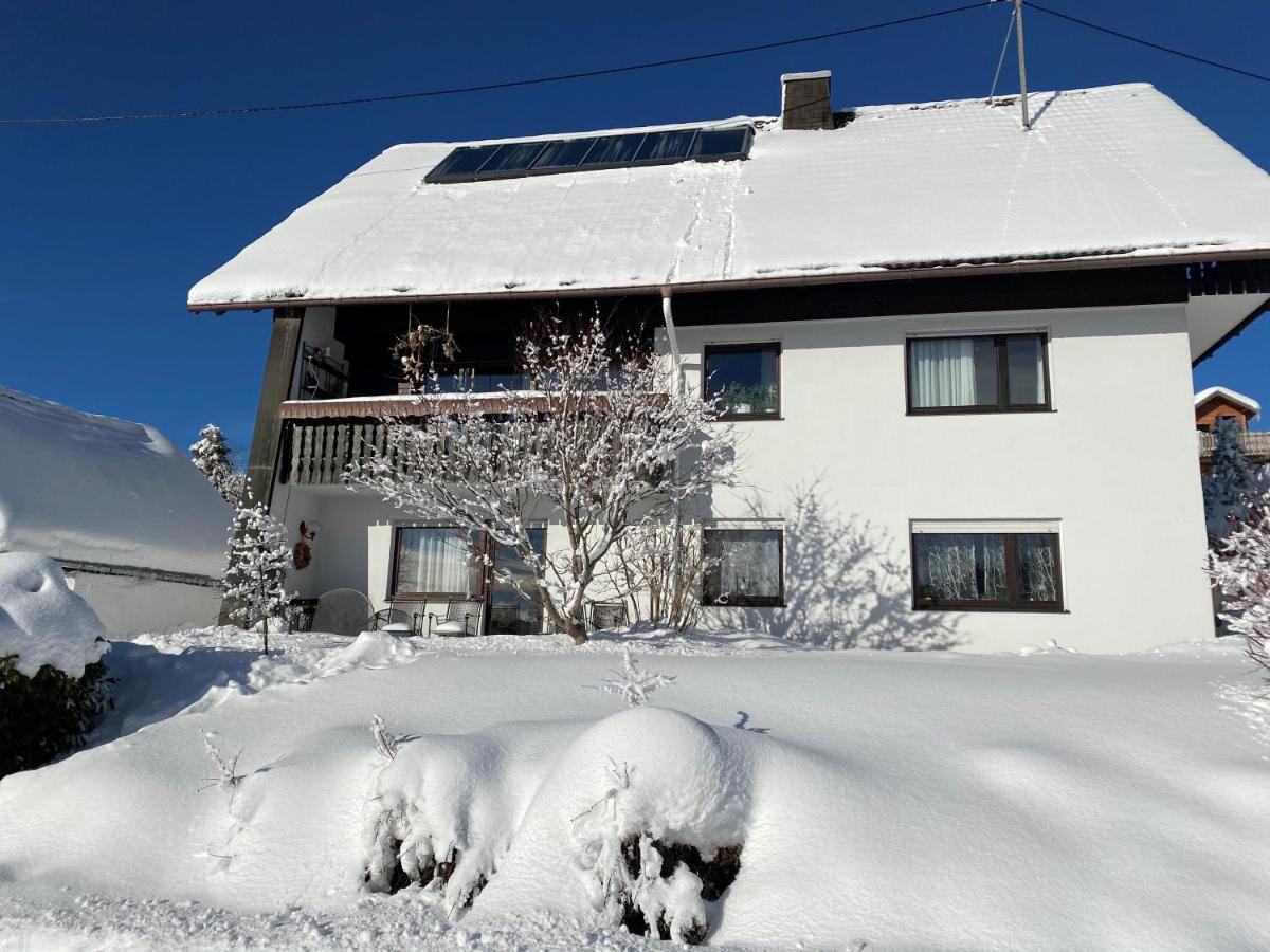 Апартаменты Haus Janssen-Wehrle Титизее-Нойштадт Экстерьер фото