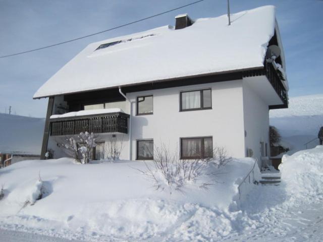 Апартаменты Haus Janssen-Wehrle Титизее-Нойштадт Экстерьер фото